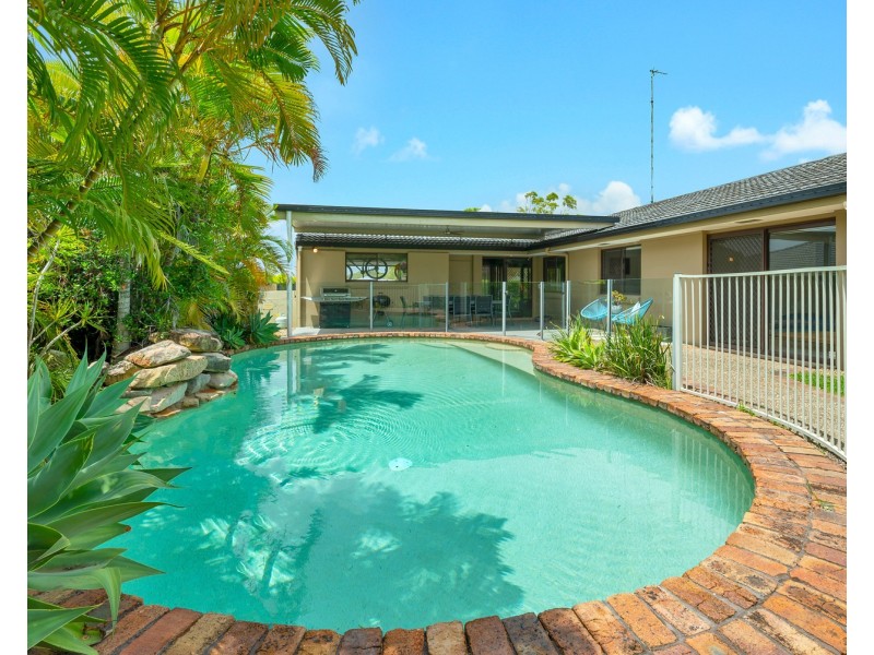 39 Pinkwood Drive, Ashmore QLD 4214