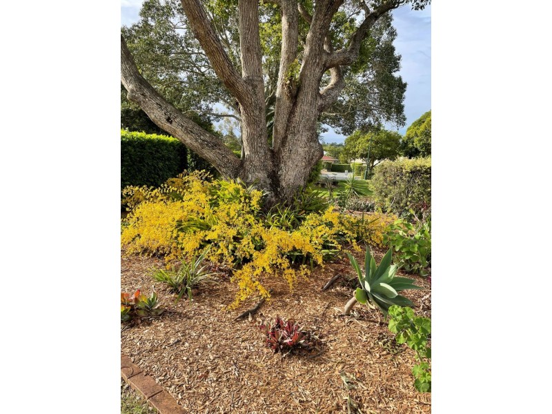 66/735 Trouts Road, Aspley QLD 4034