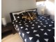20/15 Walsh Street, Milton QLD 4064