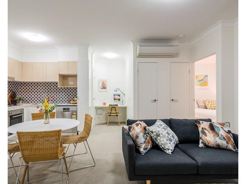 19 Talbot Street, Coorparoo QLD 4151