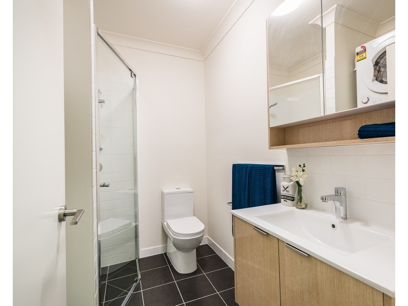 19 Talbot Street, Coorparoo QLD 4151