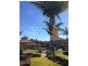 25 Diamond Place, Runcorn QLD 4113