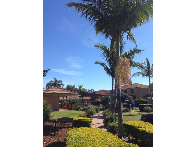 25 Diamond Place, Runcorn QLD 4113