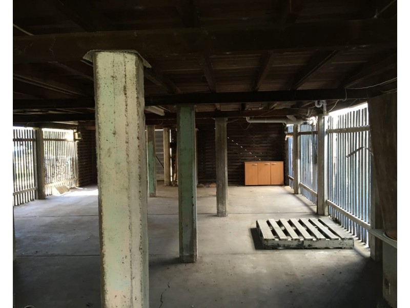 24 Clarke street, Hendra QLD 4011