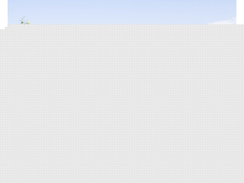 30/11 Federation Street, Wynnum West QLD 4178