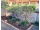 Pimpama QLD 4209