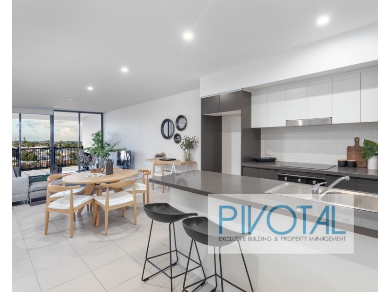 513/8 Holden Street, Woolloongabba QLD 4102
