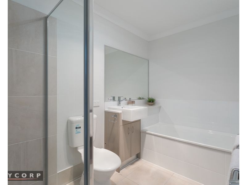 11 Rachow St, Thornlands QLD 4164