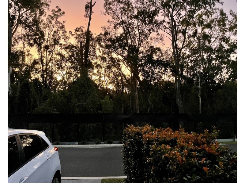 72/188 Gainsborough Drive, Pimpama QLD 4209