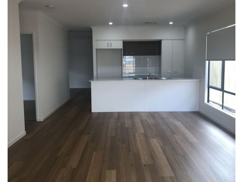 41 Beck Street, Park Ridge QLD 4125