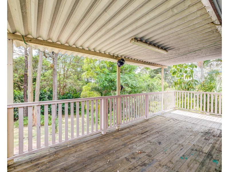 19 Sapium Street, Kingston QLD 4114