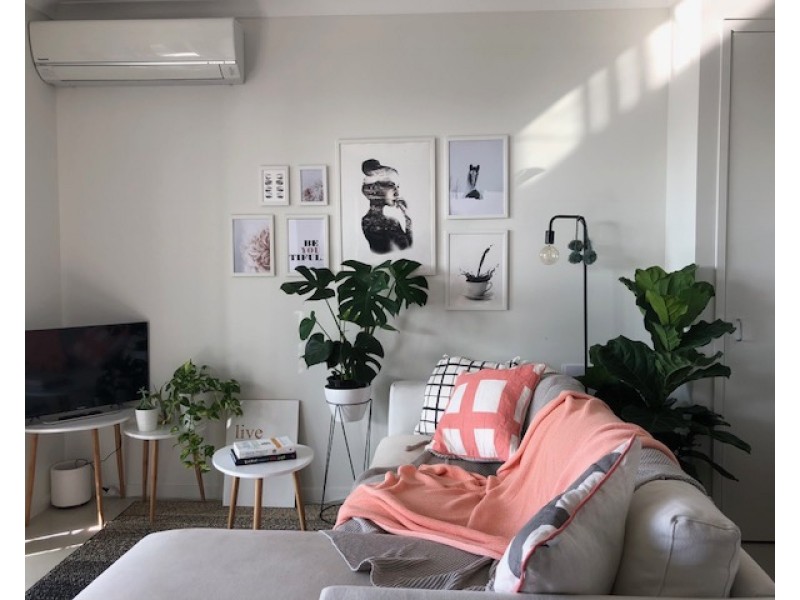 206/19 Isedale Street, Wooloowin QLD 4030