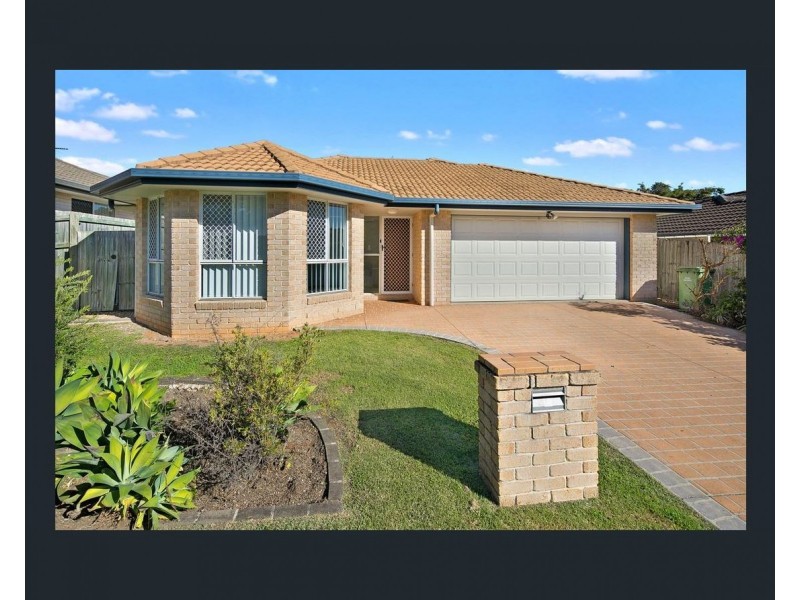 45 Macfarlan Street, Birkdale QLD 4159