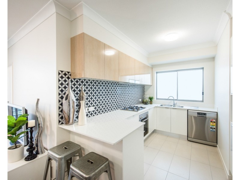 19 Talbot Street, Coorparoo QLD 4151