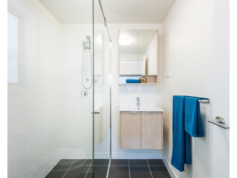 19 Talbot Street, Coorparoo QLD 4151