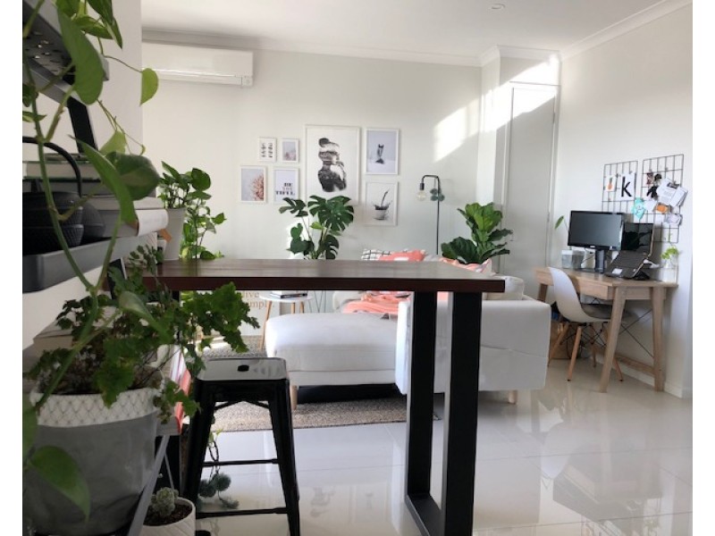 19 Isedale Street, Lutwyche QLD 4030