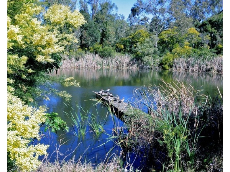 14/40 Hargreaves Road, Manly West QLD 4179