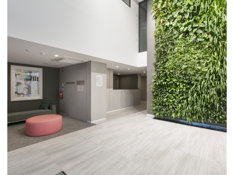 1091/123 Cavendish Road, Coorparoo QLD 4151