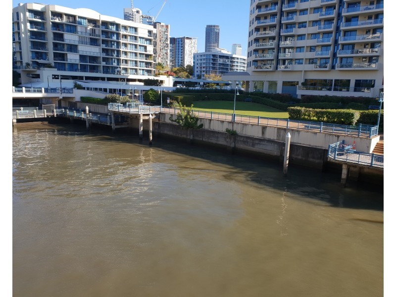 Kangaroo Point QLD 4169