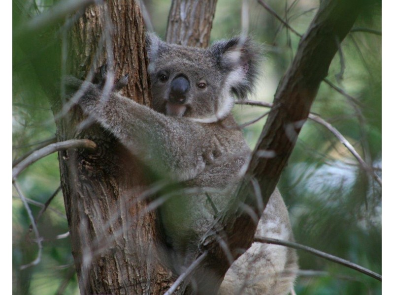 1/45 Lancashire Drive, Mudgeeraba QLD 4213
