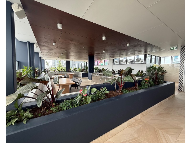 703/59 Meron Street, Southport QLD 4215