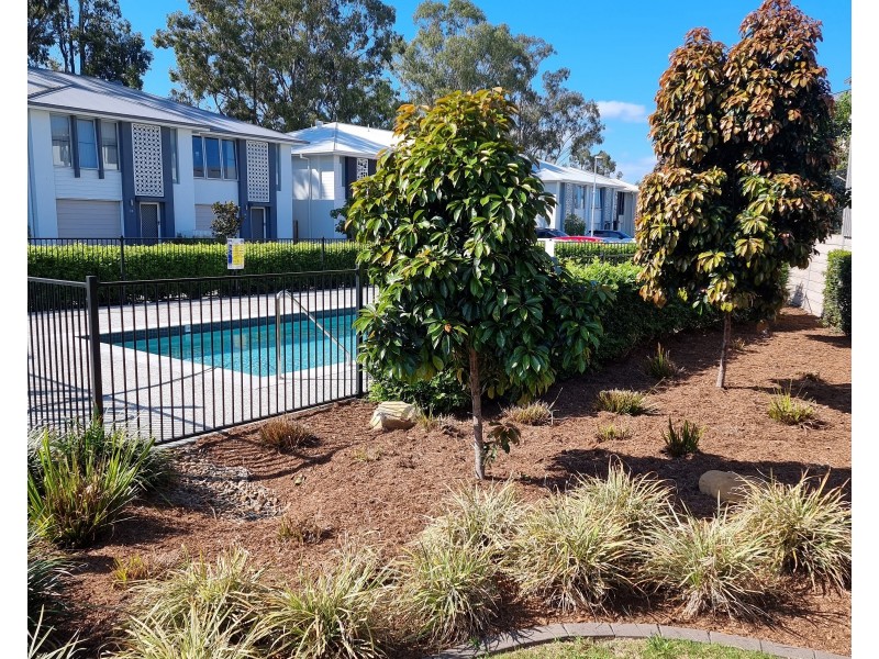 60/1 Isla St, Pimpama QLD 4209