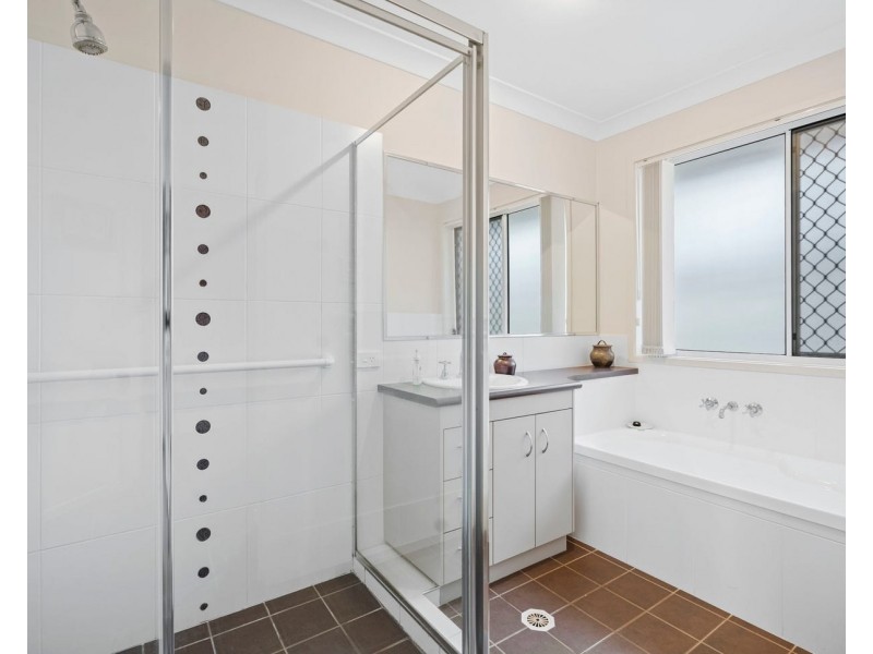 17 Ronnie Street, Cleveland QLD 4163