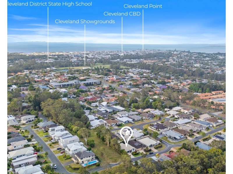 17 Ronnie Street, Cleveland QLD 4163