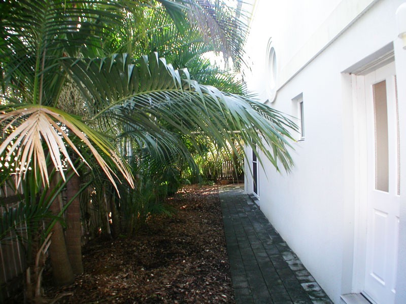 5/2 Fitzgerald Street, Coffs Harbour NSW 2450