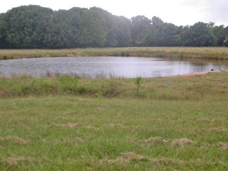 Lot 3 Randalls Road, Nana Glen NSW 2450