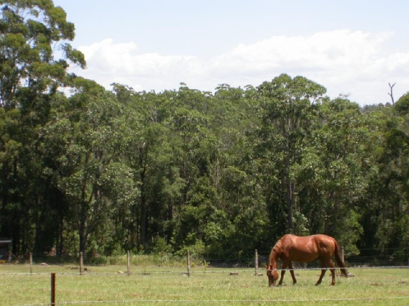 East Bonville Road, Bonville NSW 2441