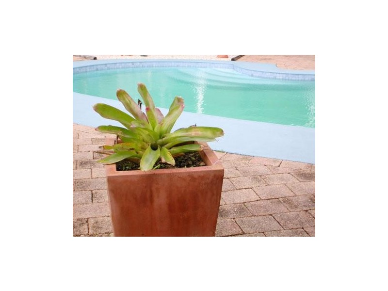 34 Halls Road, Coffs Harbour NSW 2450