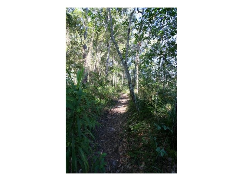 36 Moller Drive, Sawtell NSW 2452