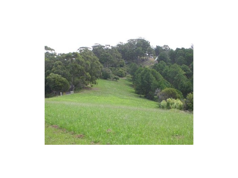 82 Gaudrons Road, Sapphire Beach NSW 2450