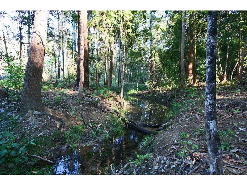 189 Johnsons Road, Sandy Beach NSW 2456