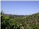 55 Bennetts Road, Coffs Harbour NSW 2450