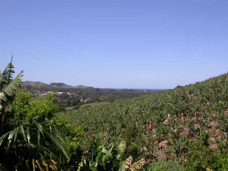 55 Bennetts Road, Coffs Harbour NSW 2450