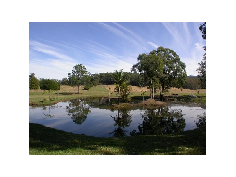 31 Irvines Road, Bonville NSW 2441