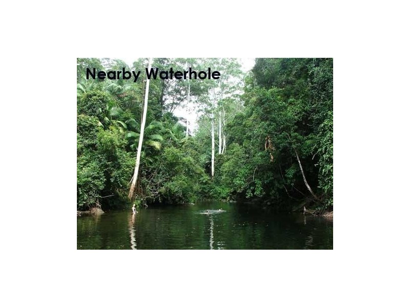 747 Dairyville Road Upper Orara, Coffs Harbour NSW 2450