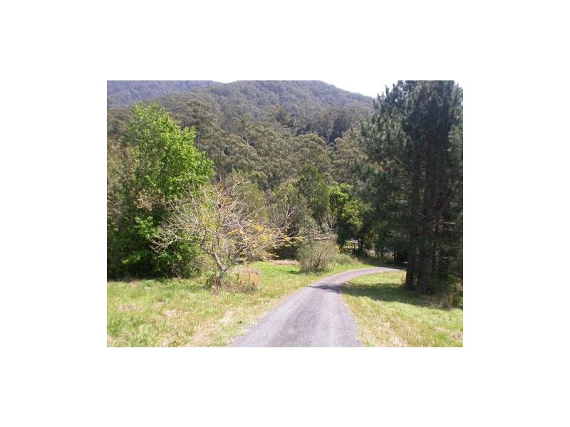 747 Dairyville Road Upper Orara, Coffs Harbour NSW 2450