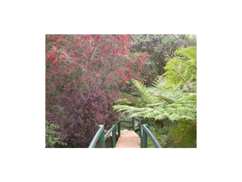 56 Old Pacific Highway, Raleigh NSW 2454
