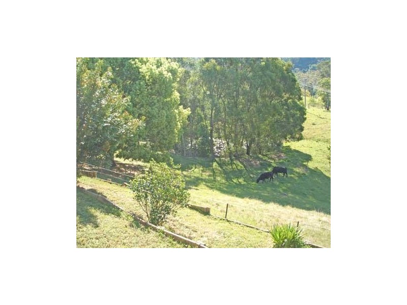 219 Cassidy’s Road, Bonville NSW 2441