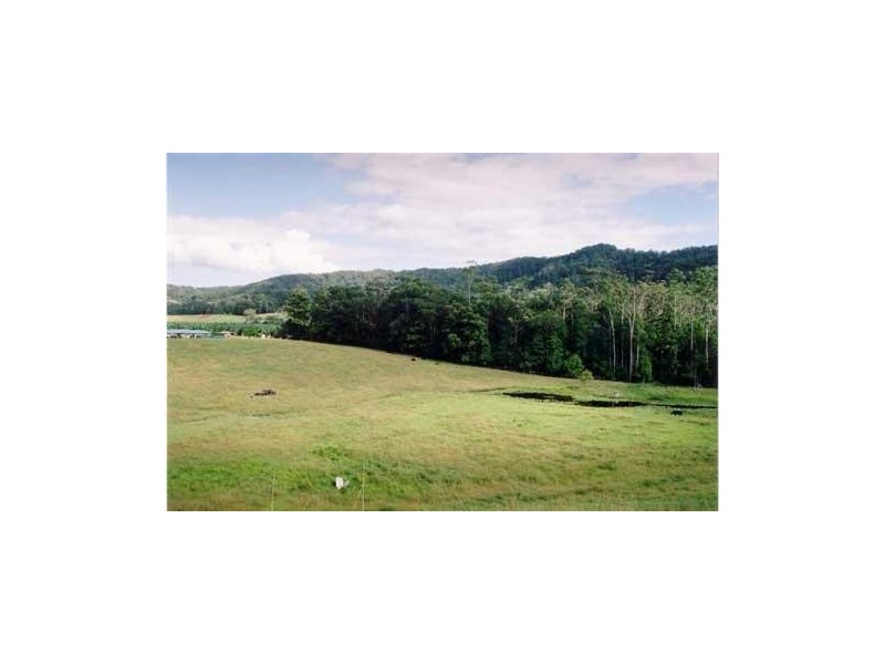 24 Ceanothus Close, Coffs Harbour NSW 2450