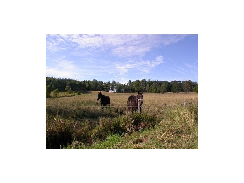 288 Morrows Road Nana Glen, Coffs Harbour NSW 2450