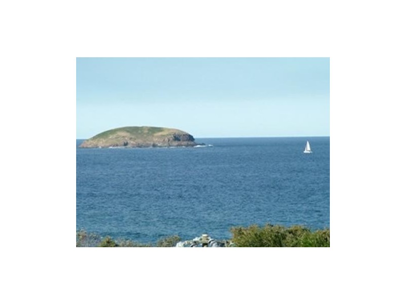 41 Dammeral Crescent, Emerald Beach NSW 2456