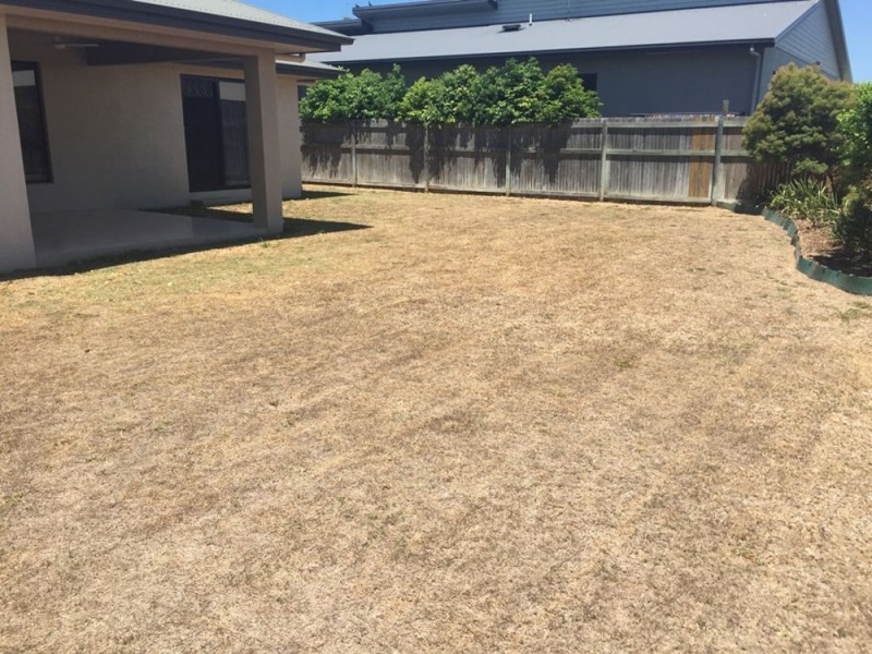 3 Sunningdale Pocket, Idalia QLD 4811