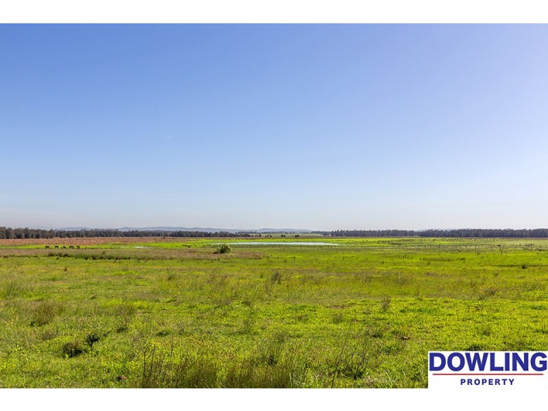 65 Kingstown Road, Woodberry NSW 2322