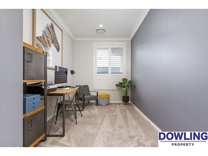 62 Dragonfly Drive, Chisholm NSW 2322
