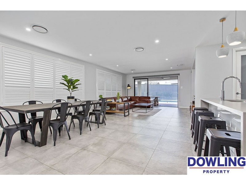 62 Dragonfly Drive, Chisholm NSW 2322