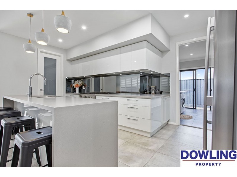 62 Dragonfly Drive, Chisholm NSW 2322